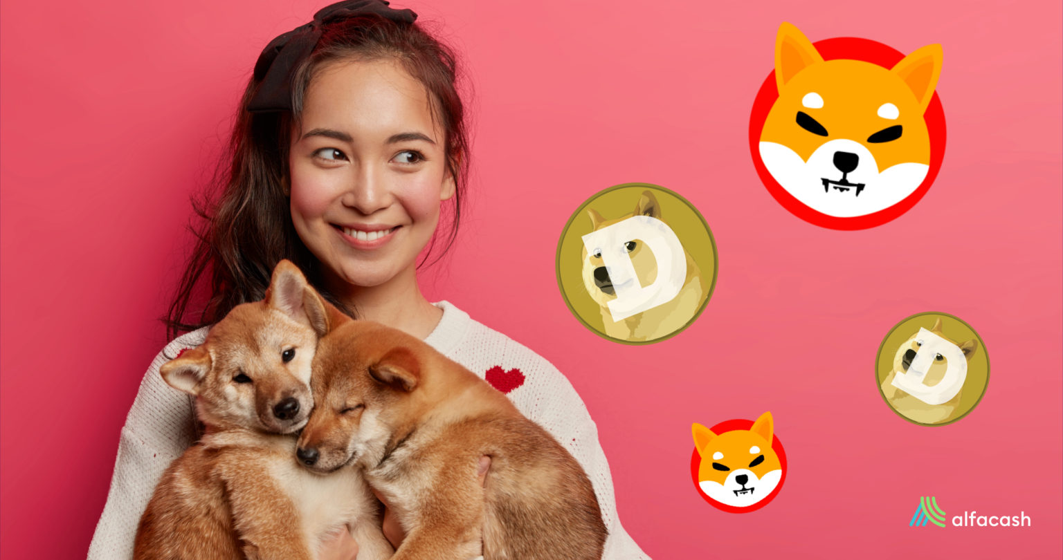 What's happening with Shiba Inu coin and the dogthemed cryptos?