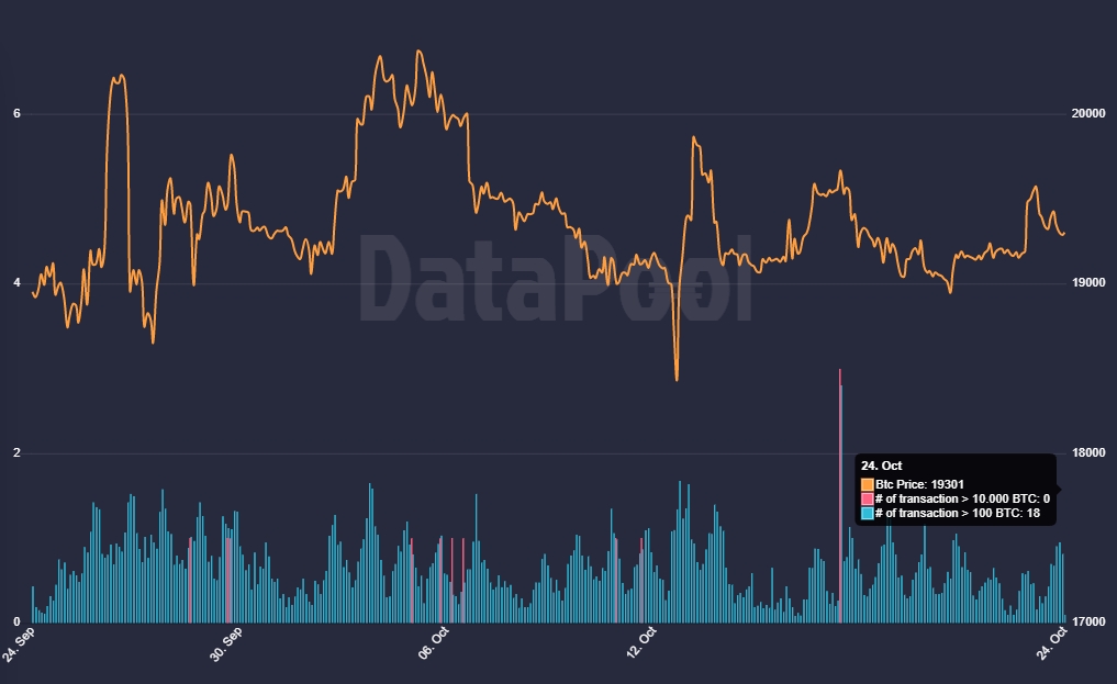 Bitcoin-rally-whales-DataPool